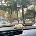 مدالية سيارة